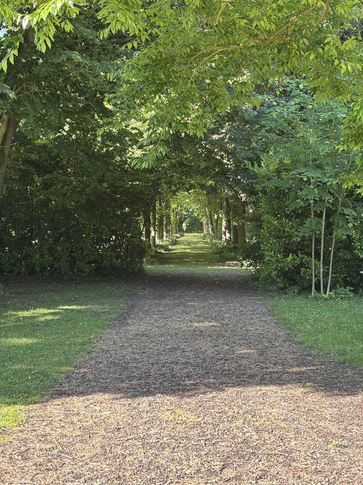 Allée arborée du parc de Briacé